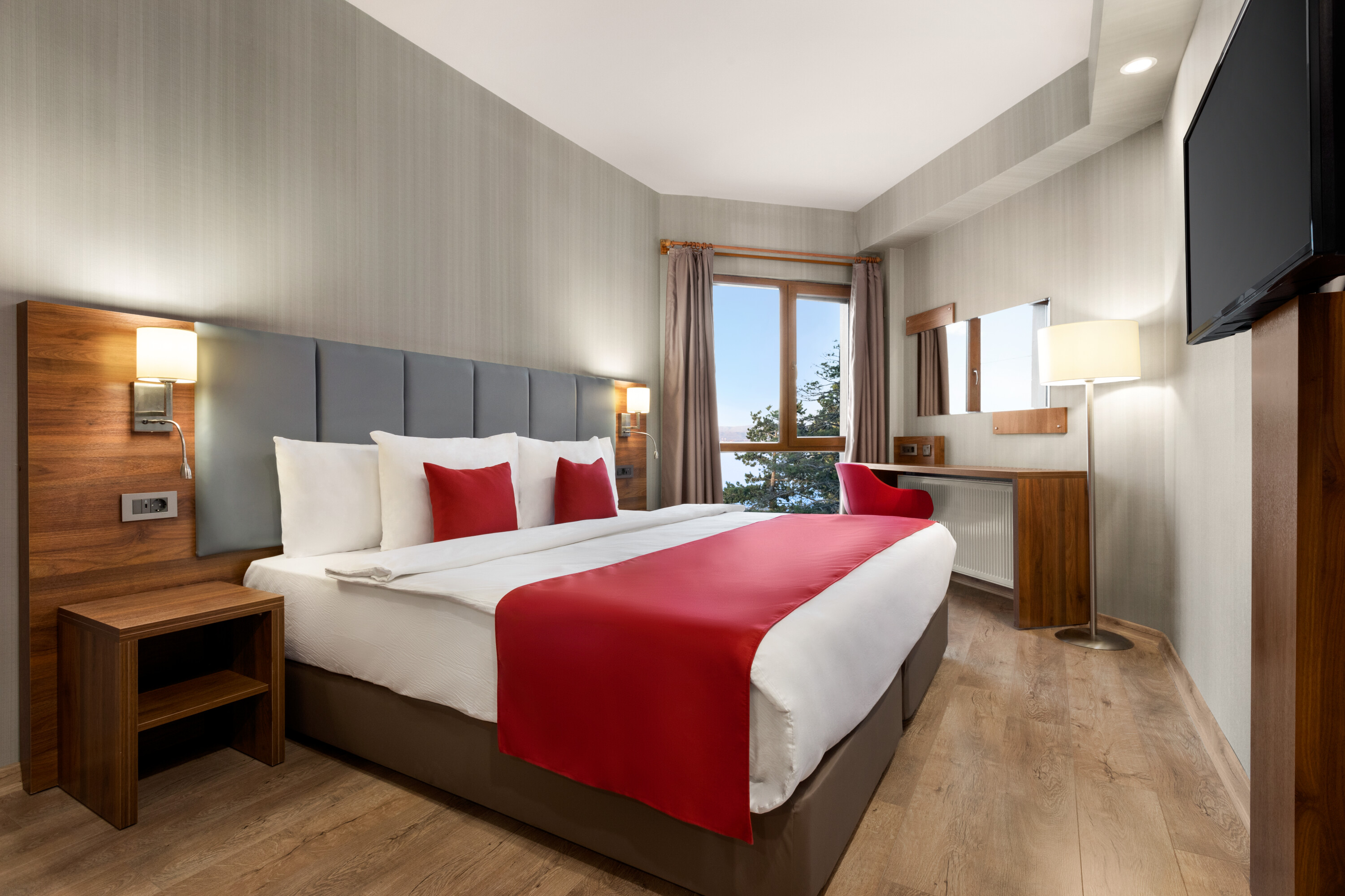 Accessible Room